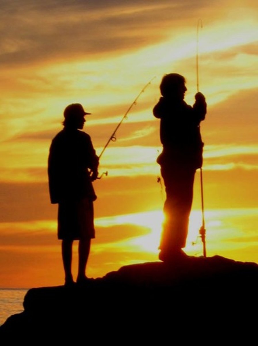 <p>to fish</p>