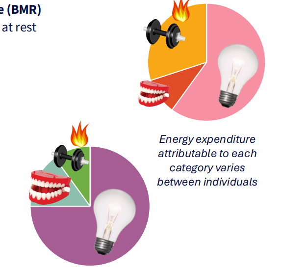 <p>How much energy do we need?</p>
