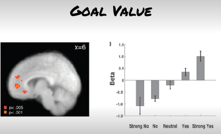 <p><strong>Hare et al. </strong></p><p>Goal value data indicates..</p>