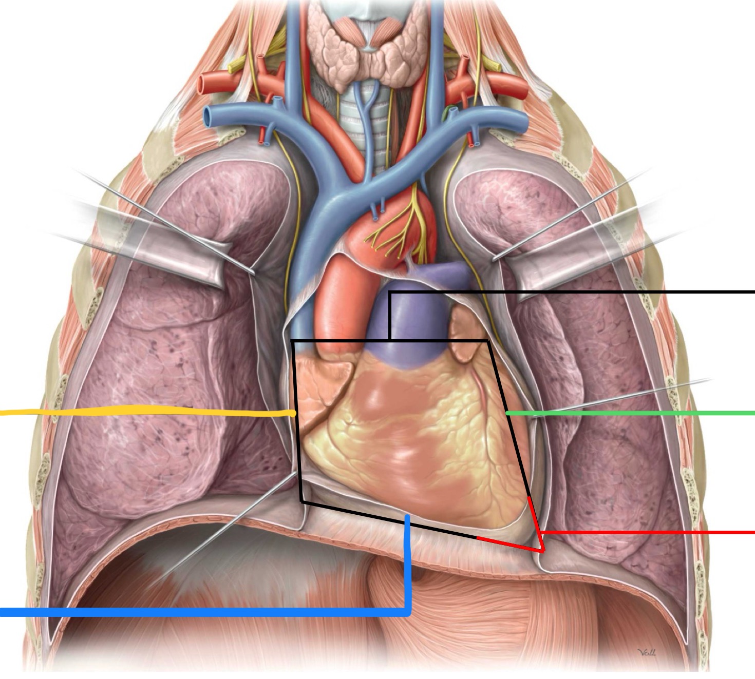 <p>What border is identified by the blue line?</p>
