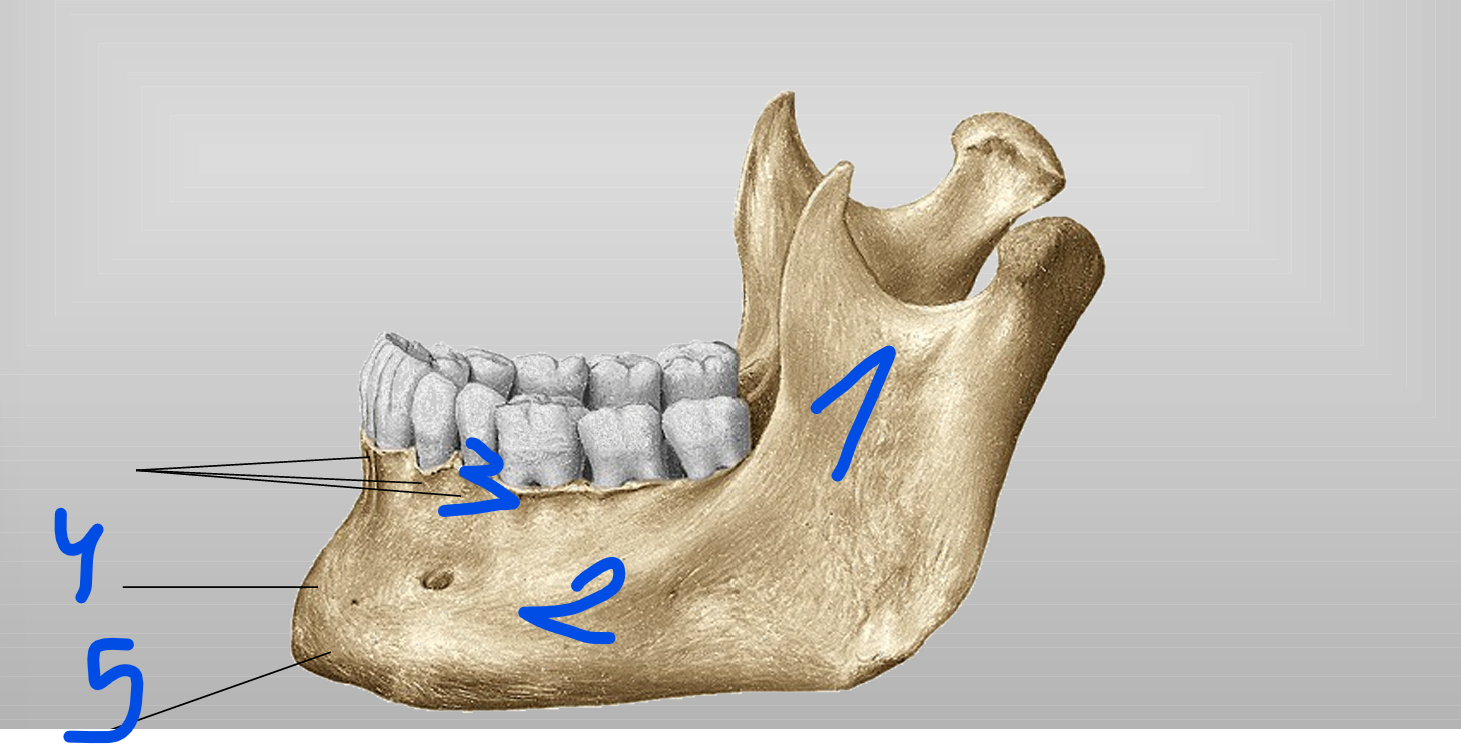 <p>2</p>