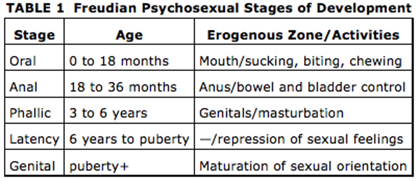 <p>childhood stages of development during which the id's pleasure-seeking energies focus on distinct erogenous zones</p>