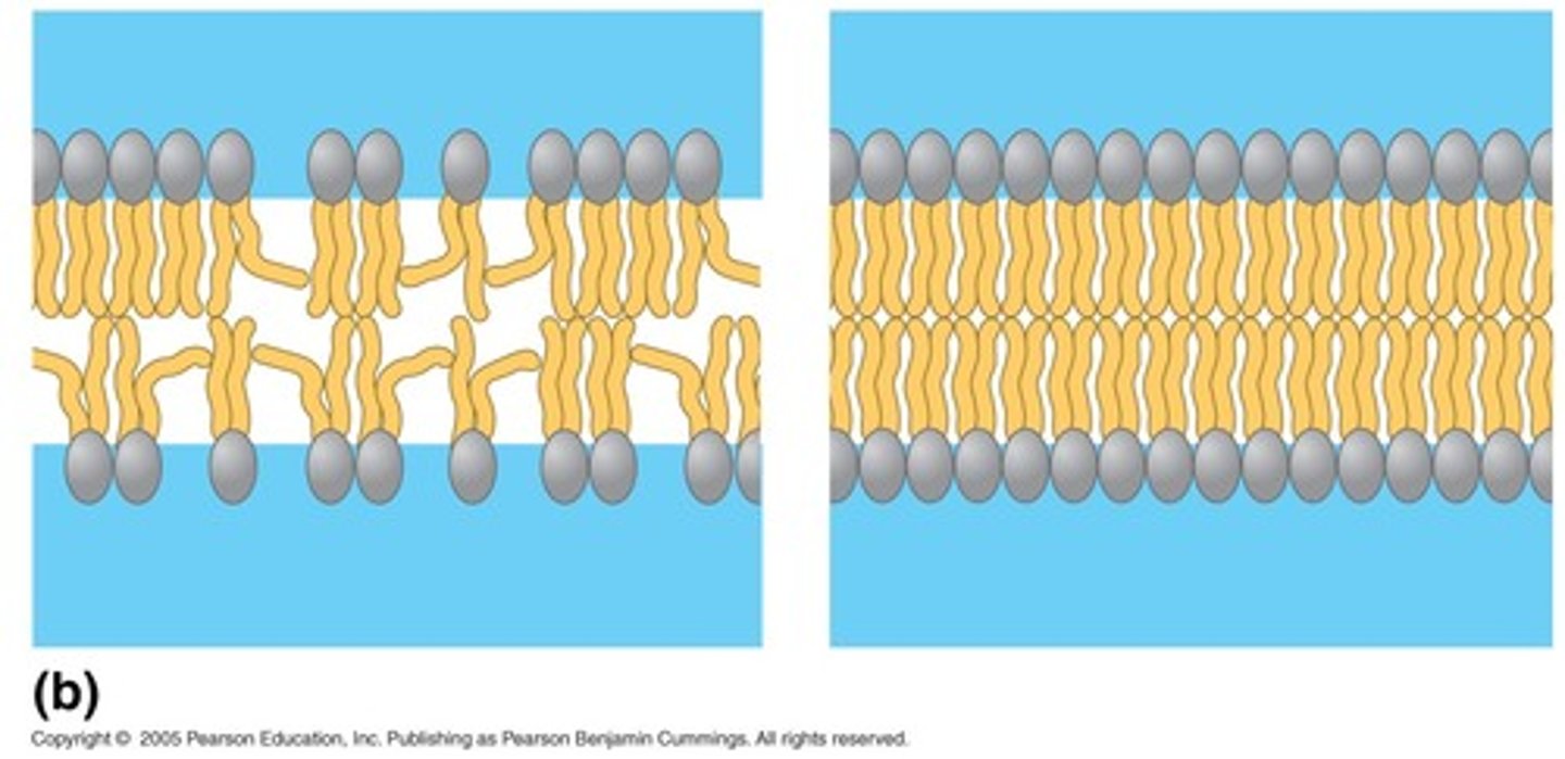 <p>nonpolar, hydrophobic</p>
