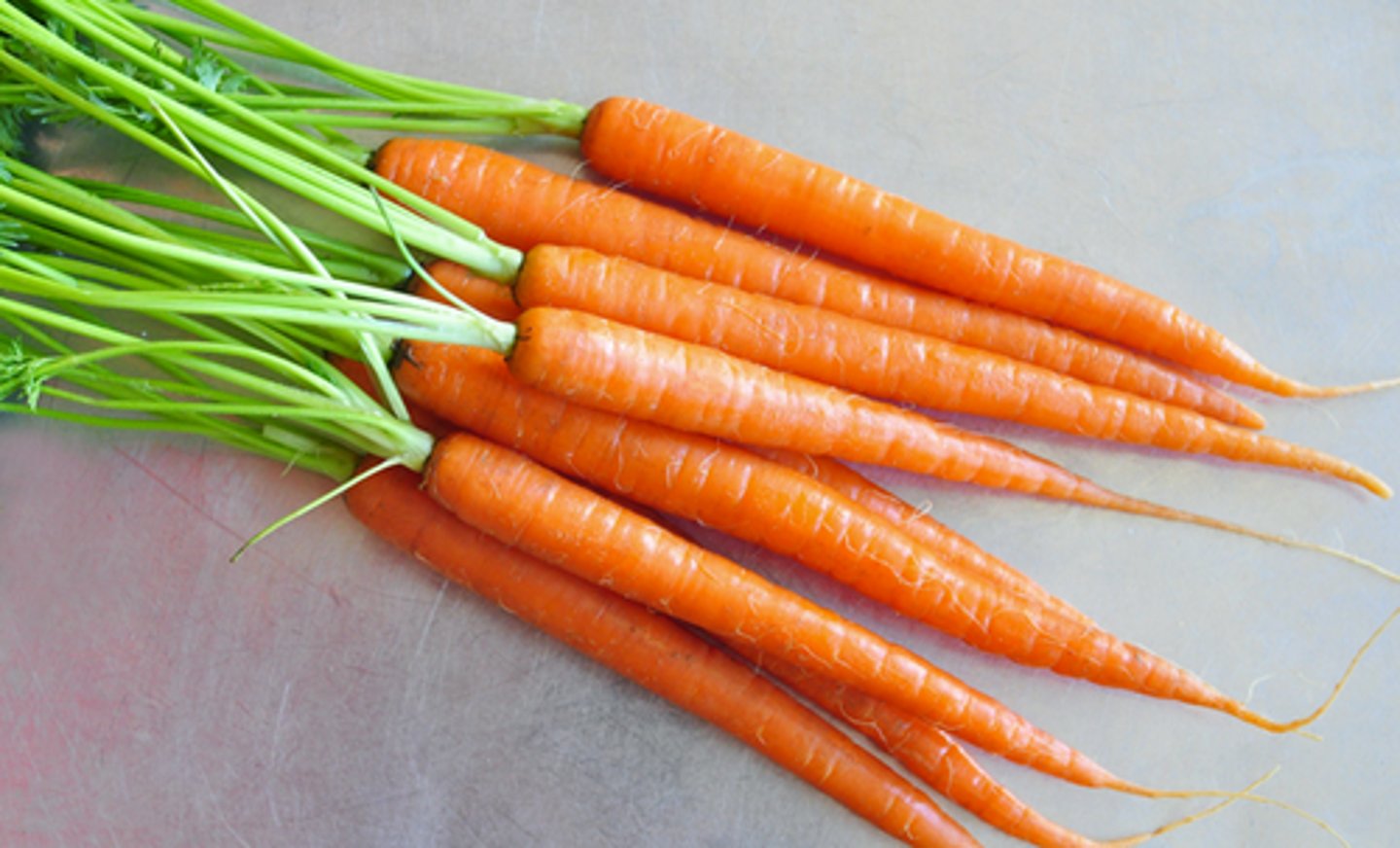 <p>carrot</p>