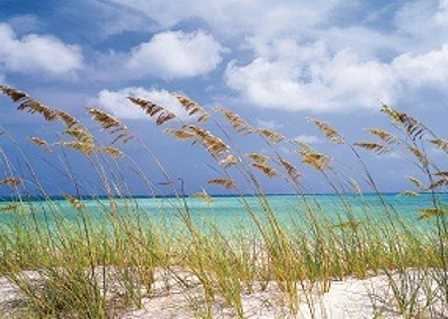 <p>/ˈbriː.zi/</p><p>(adj): Có gió nhẹ, thoáng mát</p><p>Ex: The breezy seaside walk refreshed us.</p>