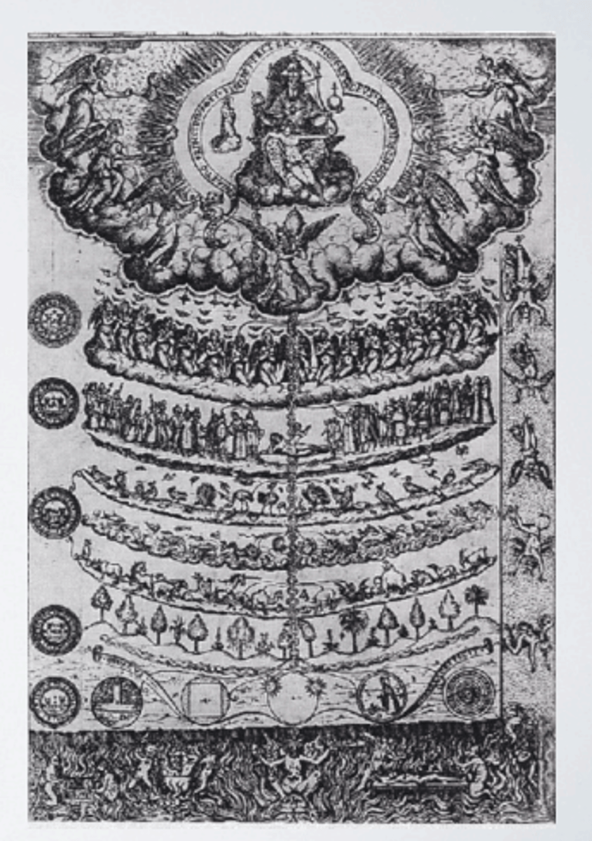 <p>a strict, religious hierarchical structure of all matter and life, believed to have been decreed by God.</p>