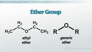 <p>oxygen molecules that are single-bonded to two different carbon groups</p>