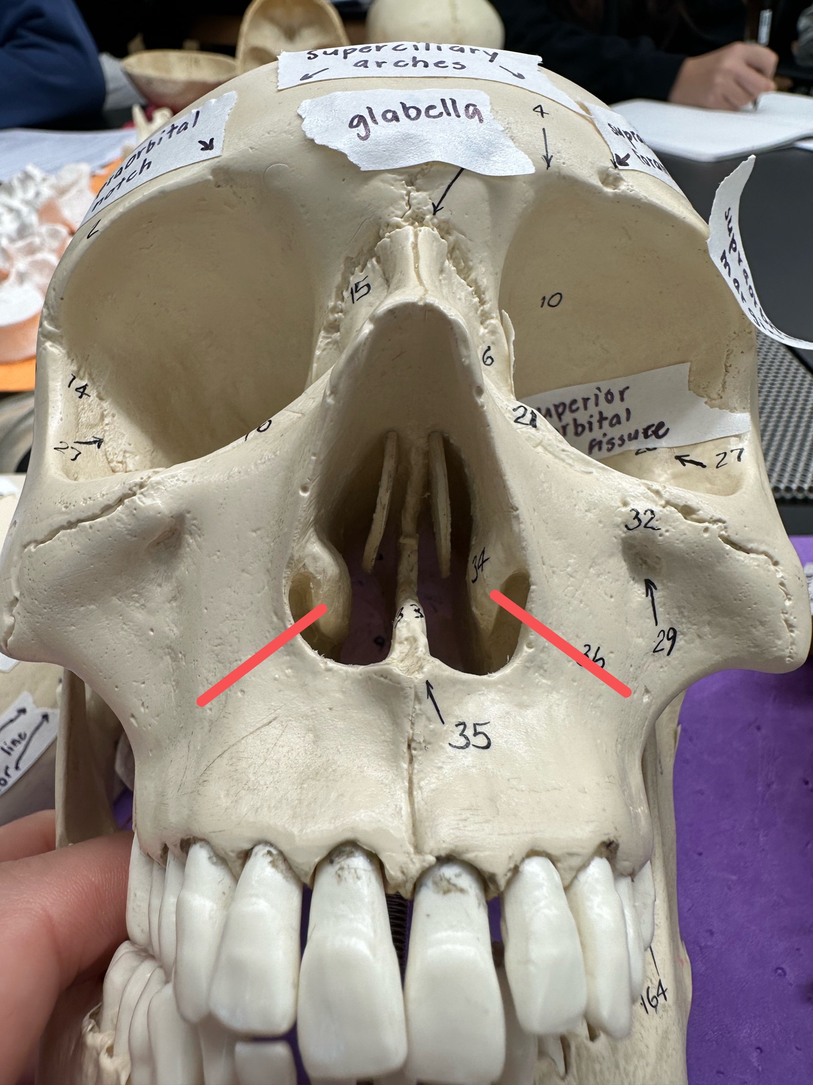 <p>ID feature</p>