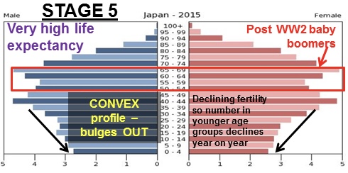 <ul><li><p>negative growth</p></li><li><p>decreasing birth rate</p></li><li><p>death rate exceeds birth rates</p></li><li><p>EX: Japan, Germany</p></li></ul>