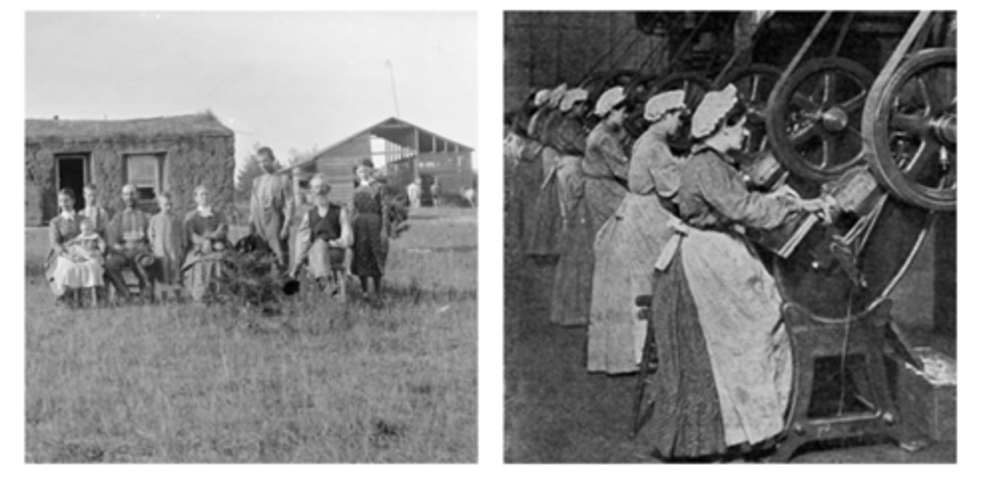 <p>The mechanization of farm work allowed many young people to migrate and join a growing urban industrial workforce.</p>