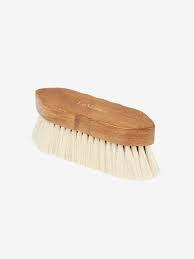 <p>name this tool</p>