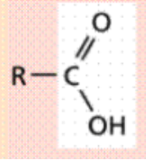 <ul><li><p>Carbon atom double bonded to an oxygen atom</p></li></ul><p>and single bonded to a hydroxyl group (-OH)</p><ul><li><p>Polar (hydrophilic)</p></li><li><p>Source of hydrogen ions (H+), which makes a</p><p>molecule acidic. These organic acids are called</p><p>carboxylic acids.</p></li></ul><p></p>