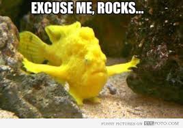 Excuse me!