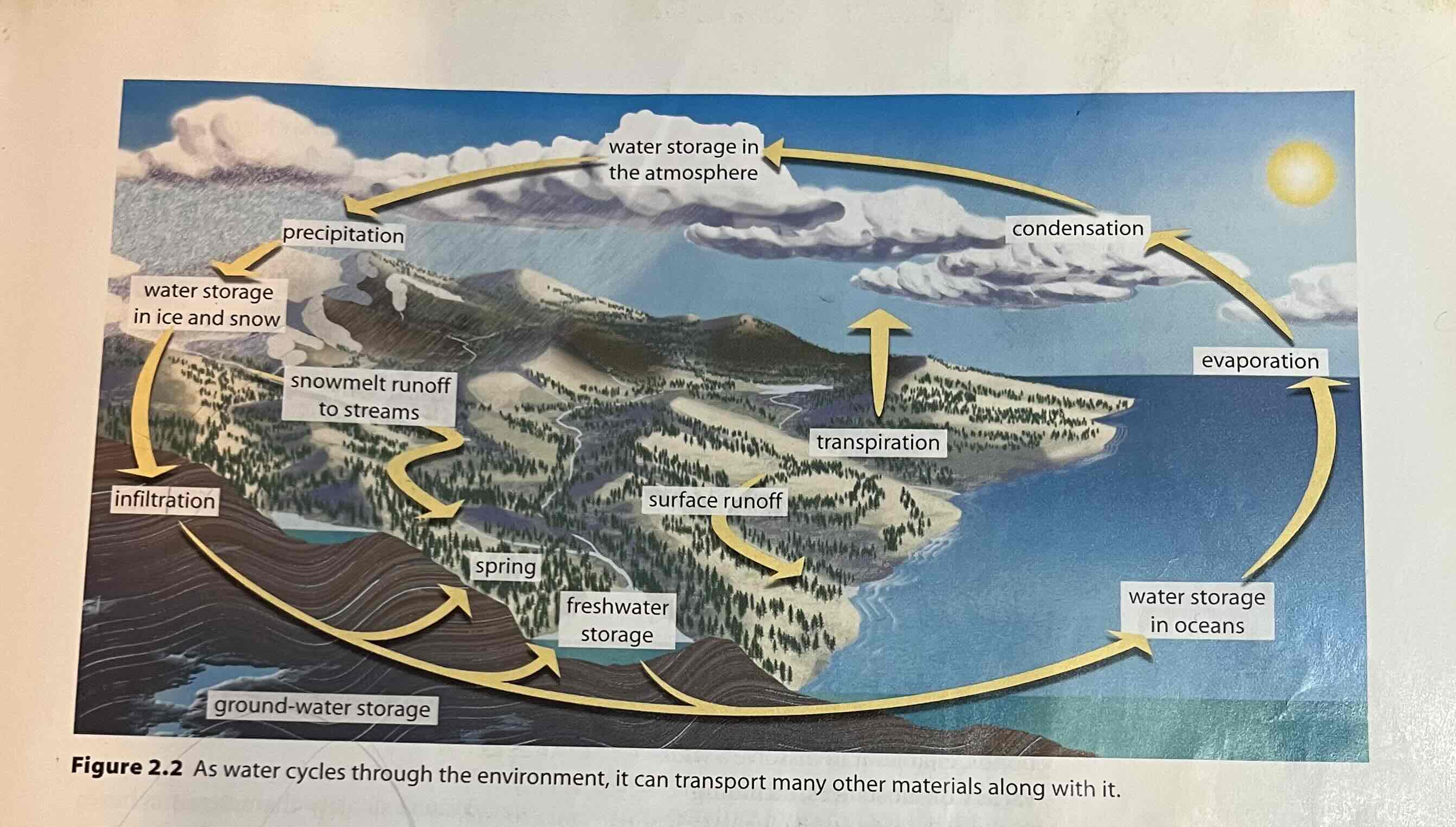 <p>The cycle through which water in the hydrosphere moves; includes such processes as evaporation, precipitation, and surface and groundwater runoff</p>
