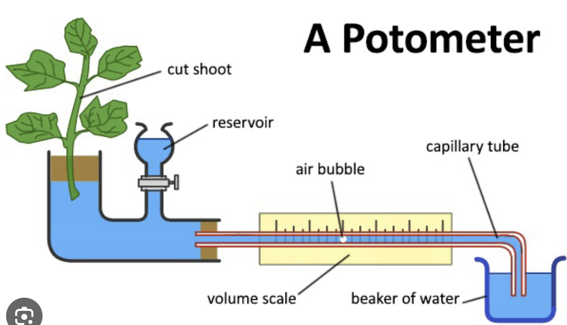 <p>How do we use it?</p><p>And how is it reset?</p>