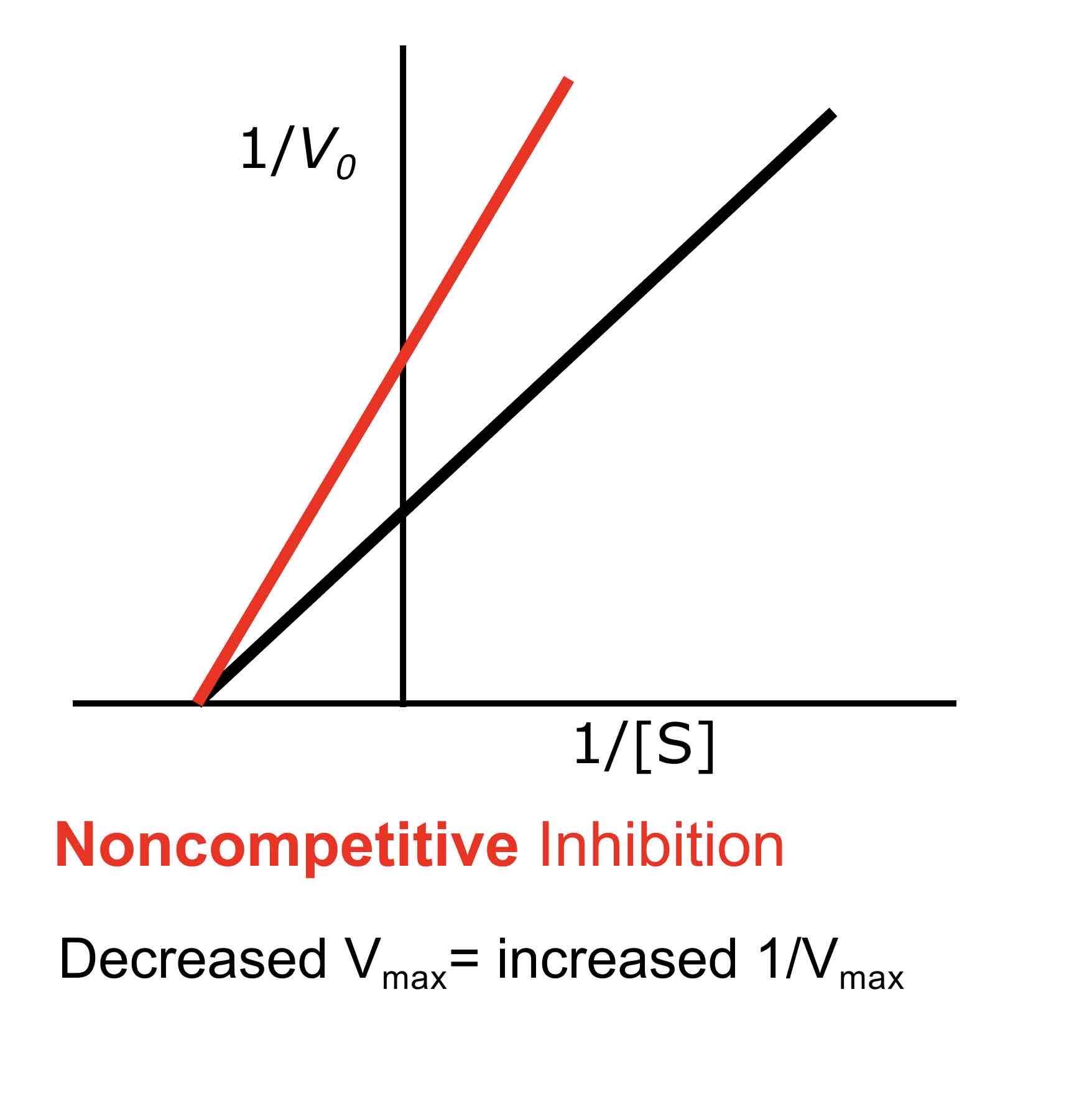 <p><span>Non-competitive inhibition does not change Km, as the inhibitor does not prevent substrate binding but rather reduces the overall number of active enzyme sites available for reaction.</span></p>