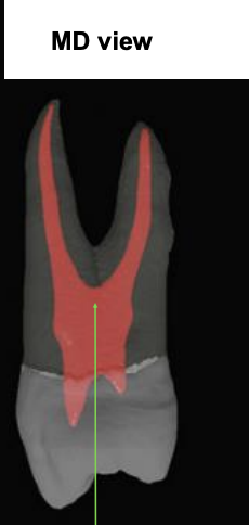 <p>what is the arrow pointing at?</p>