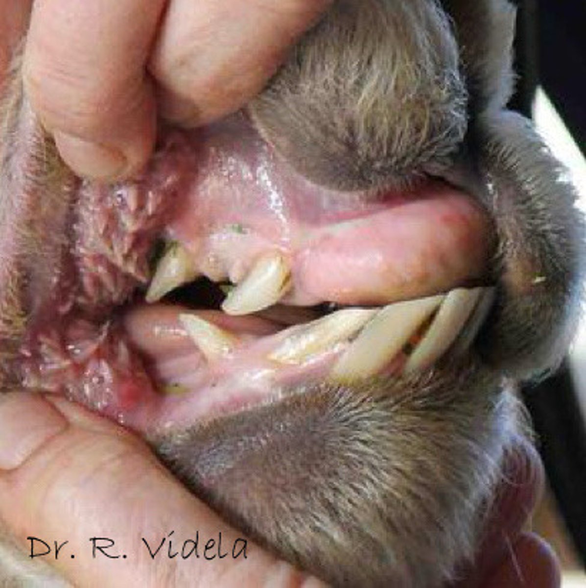 <p>What is this?</p>