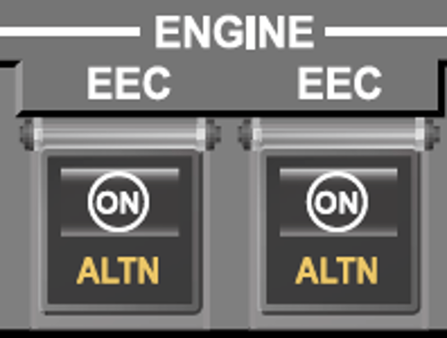 <p>White ON lights only lights illuminated on the associated EEC switch</p>