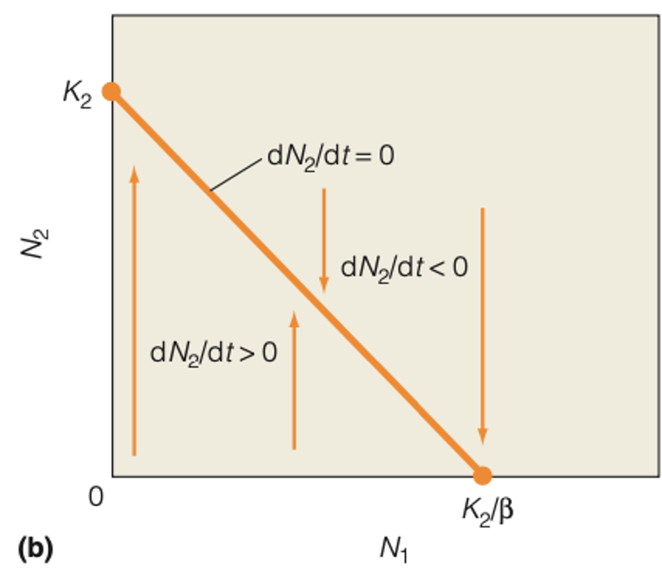 <p>WHAT DOES THIS MEAN </p><p>- the greater the population size of elk (N2) or the greater the competitive effect (α) , the greater the reduction in the growth rate of deer</p>