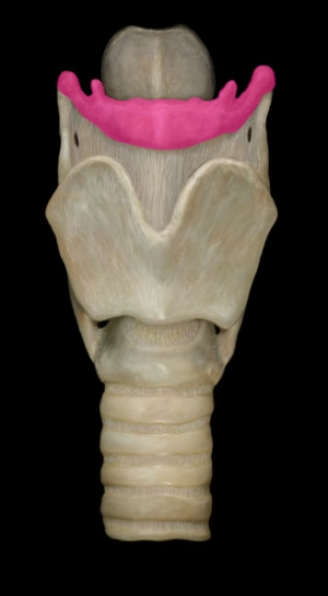 term image