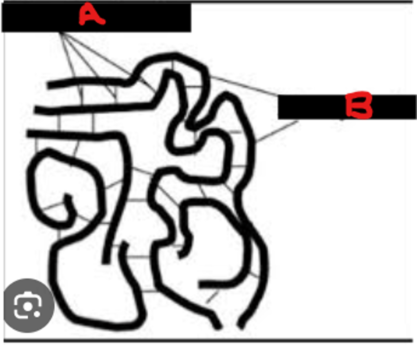 <p>Identify the forces or bonds which hold polymer chains together</p>