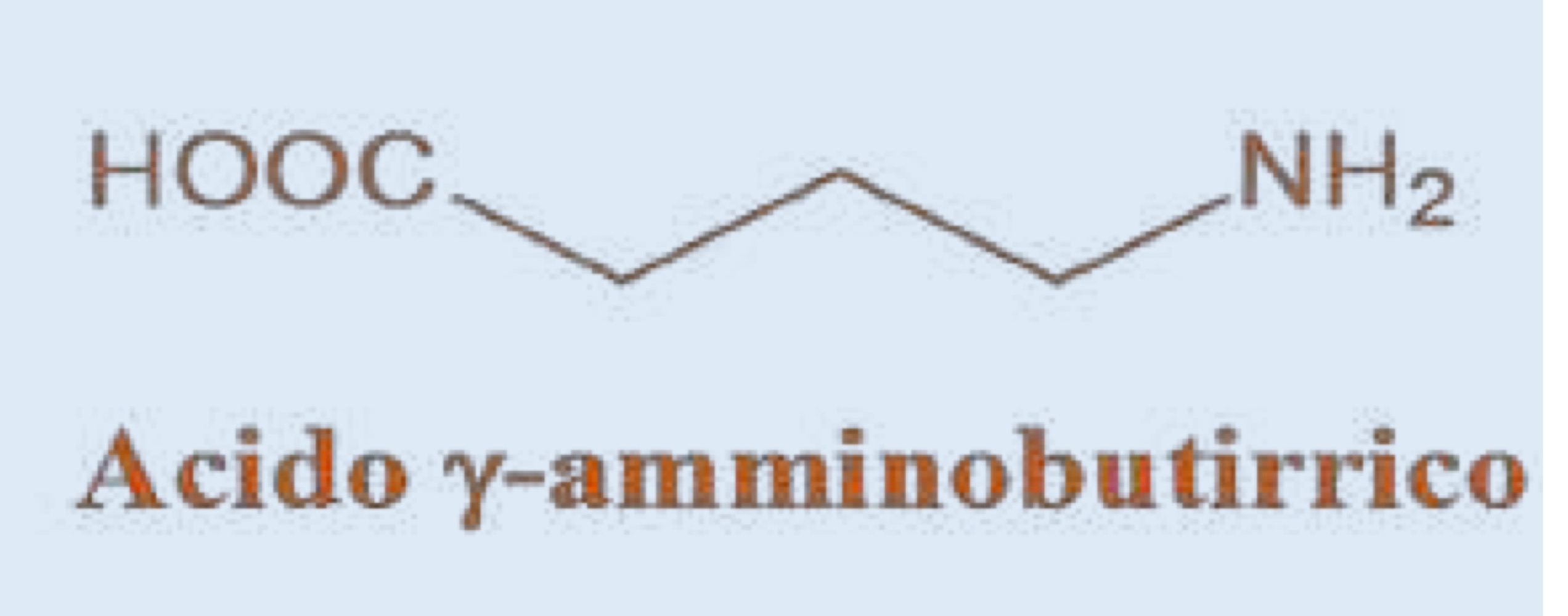 <p>ACIDO gamma-AMMINOBUTIRRICO</p>