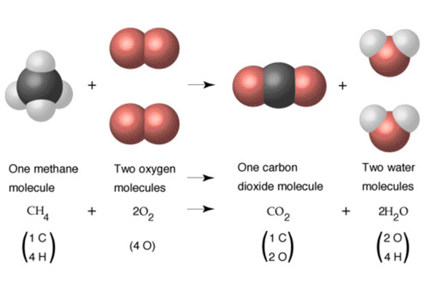 <p>1) balance least common atoms</p><p>2) Balance more common atoms ( usually H or O)</p><p>3) Balance charge (if necessary)</p>