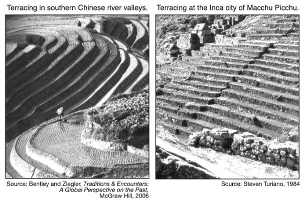 <p>Terrace Farming</p>