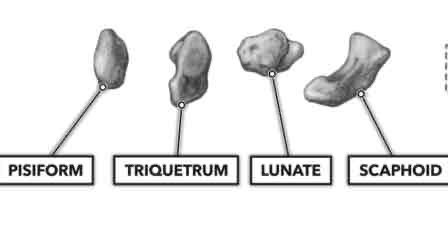 <p></p>