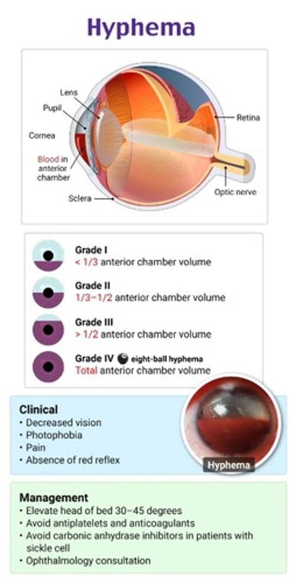 <p>• Pain and discomfort</p><p>• Visual sign of blood in eye</p><p>•Cloudy or blurry vision</p>