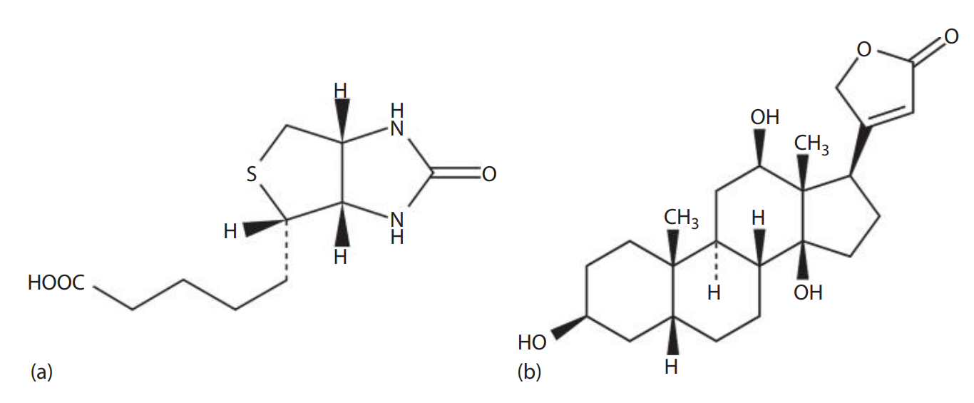 Nonradioactive tags for labeling and detecting nucleic acids. (a) Chemical structure of biotin, also known as vitamin H.(b) Chemical structure of digoxigenin.  