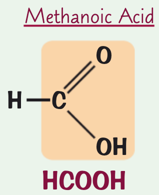 <p>structural formula: HCOOH</p>