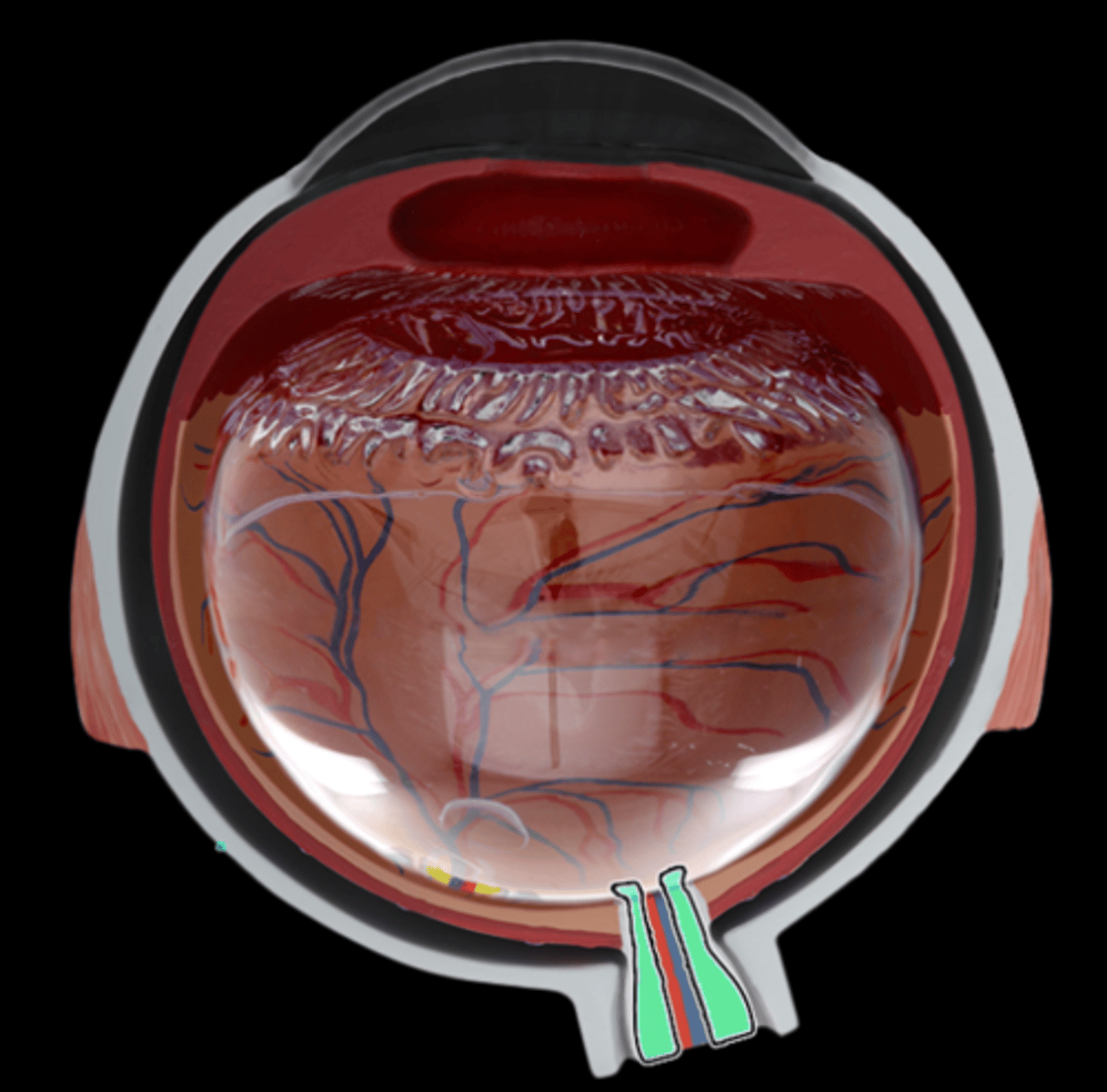 knowt flashcard image
