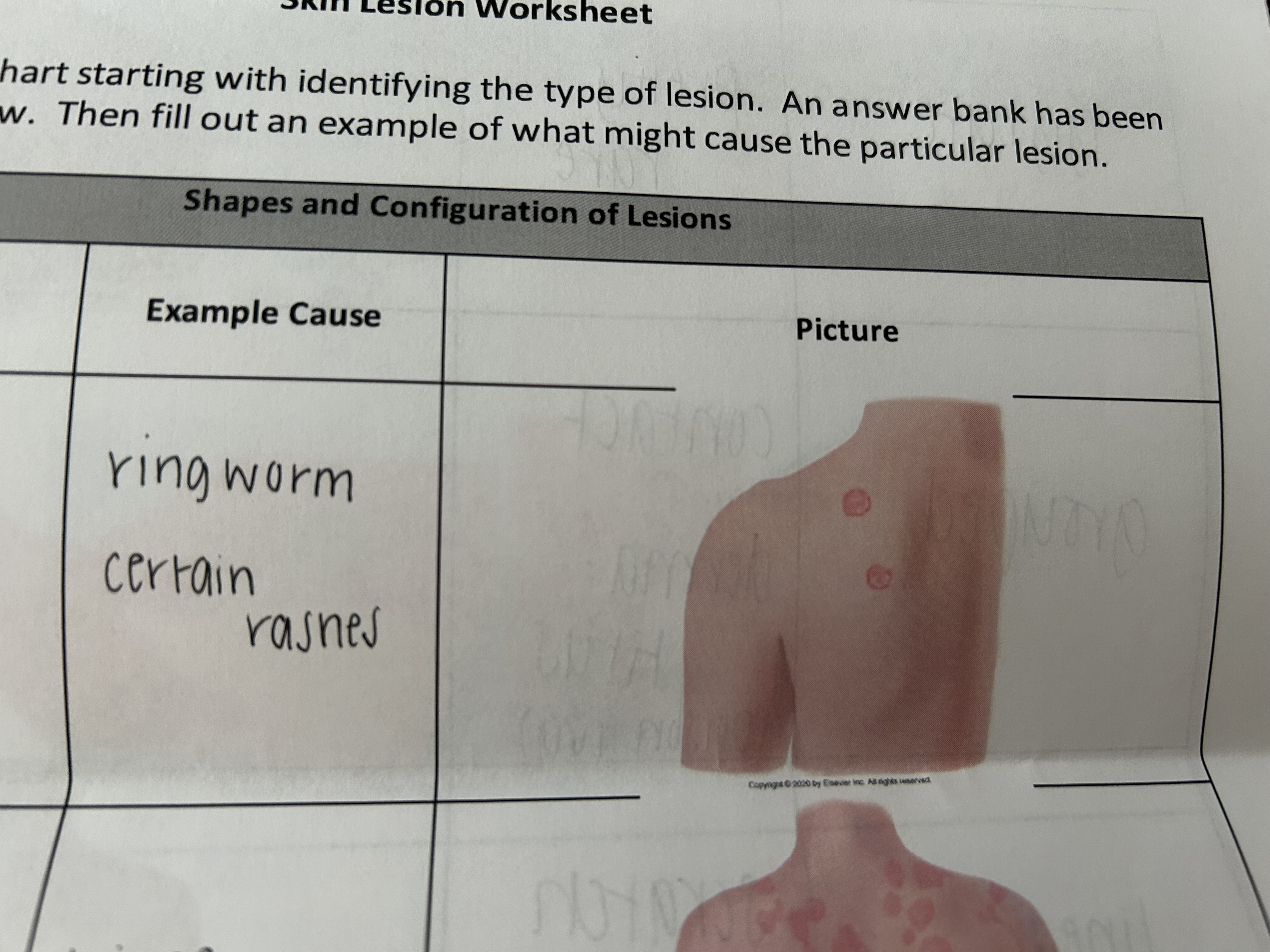 knowt flashcard image