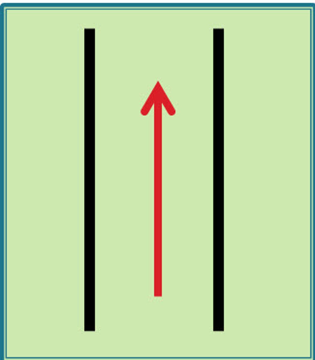 <p>straight</p>