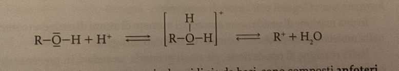 <p>perchè possono comportarsi sia da acidi rompendo il legame OH e rilasciando ioni H+, sia da basi, dato che O ha due elettroni liberi da donare</p>