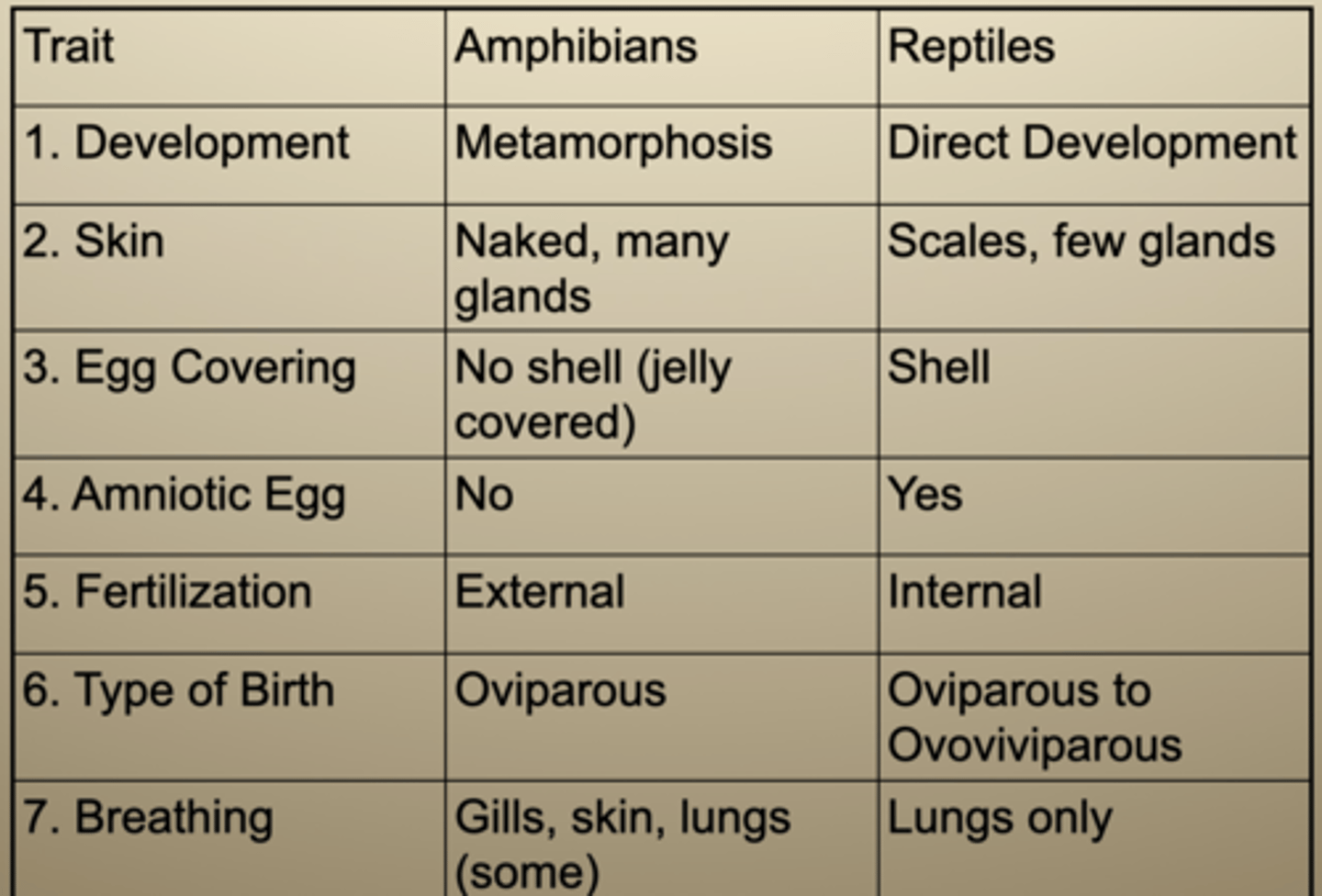 <p>1) Development</p><p>- Amphibians --> Metamorphosis</p><p>- Reptiles --> Direct Development</p><p>2) Skin</p><p>- Amphibians --> Naked, many glands</p><p>- Reptiles --> Scales, few glands</p><p>3) Egg Covering</p><p>- Amphibians --> No shell, jelly covered</p><p>- Reptiles --> Shell</p><p>4) Amniotic Egg</p><p>- Amphibians --> No</p><p>- Reptiles --> Yes</p><p>5) Fertilization</p><p>- Amphibians --> External</p><p>Reptiles --> Internal</p><p>6) Type of Birth</p><p>- Amphibians --> Oviparous</p><p>- Reptiles --> Oviparous to Ovoviviparous</p><p>7) Breathing</p><p>- Amphibians --> Gills, skin, lungs (some)</p><p>- Reptiles --> Lungs only</p>