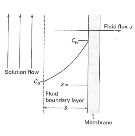 <p>Si una especie no atraviesa la membrana genera un gradiente de concentración sobre la membrana, que se llama boundary layer</p>