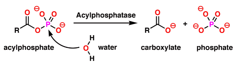 <p>What is a product on this chemical reaction?</p>