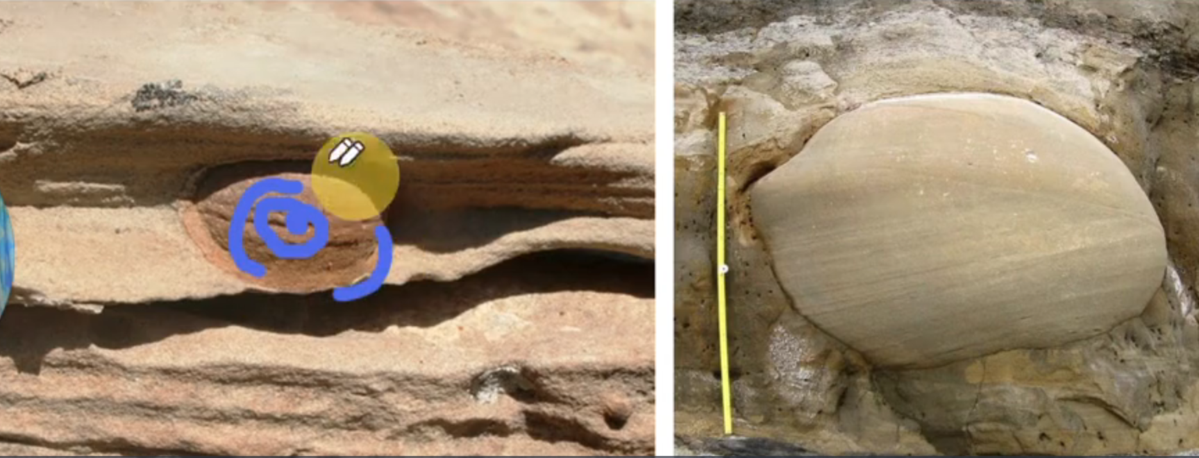<p>Explain what concretions are </p>