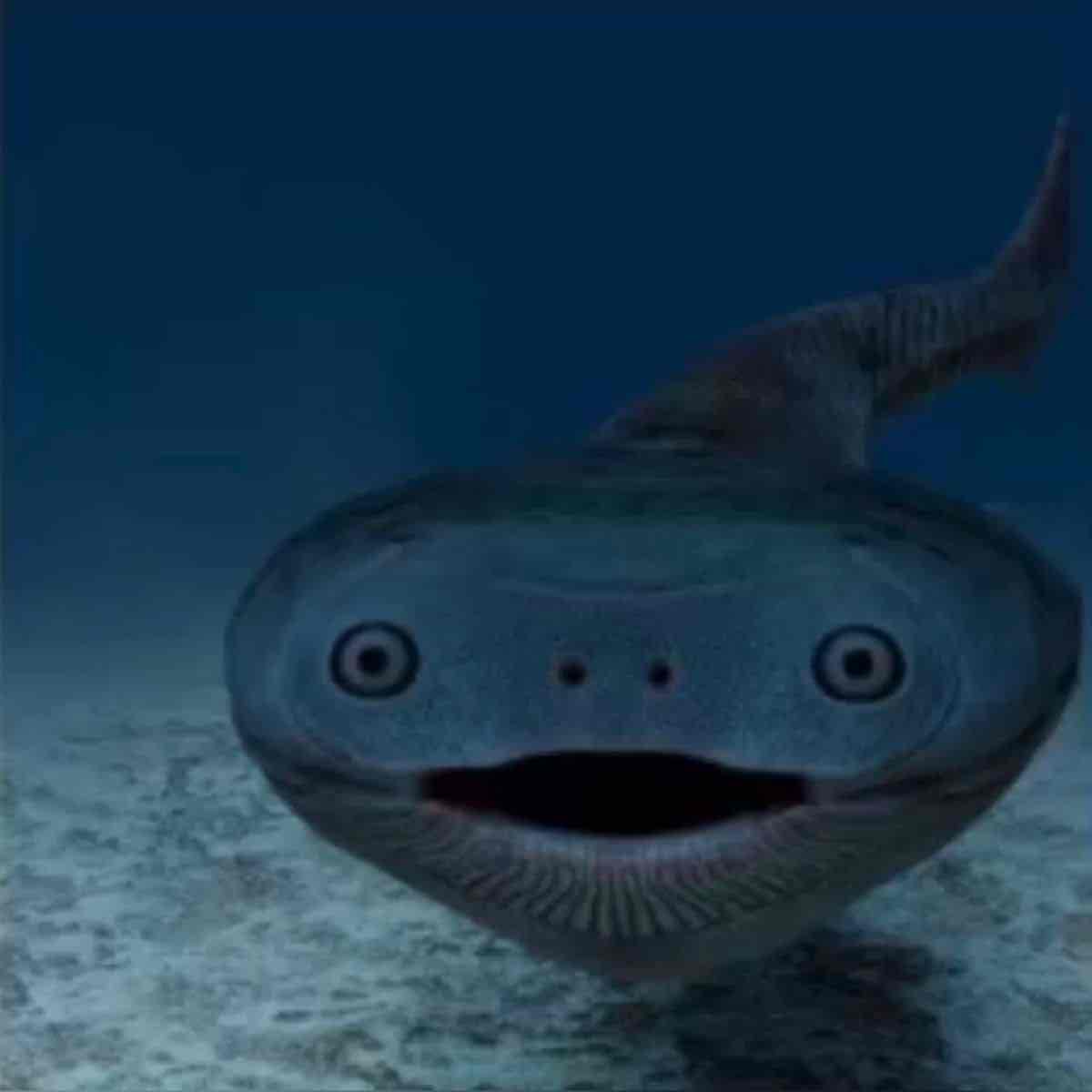 <p>Ugly</p>