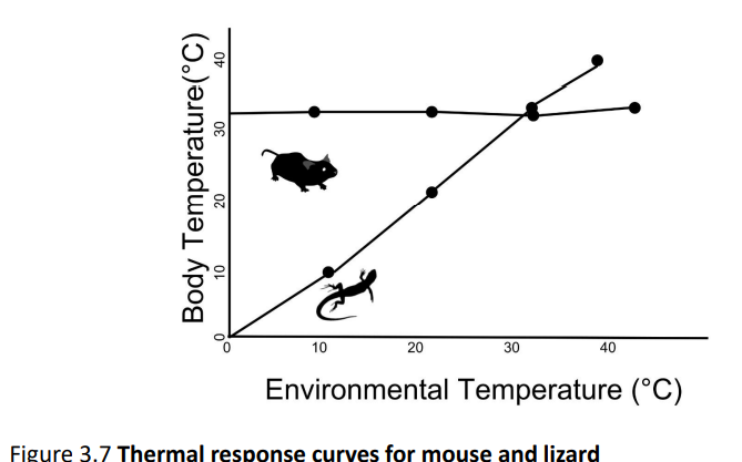 <p>Compare and contrast the change in body temperature and physiological function of ectotherms and endotherms across a range of external temperatures</p><p></p><p>Define homeothermy and poikilothermy:</p>