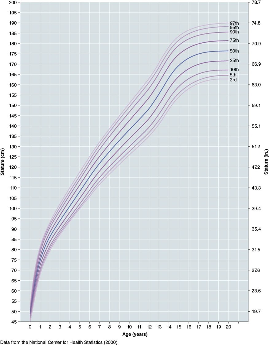 <ul><li><p><mark data-color="purple">Peak Height Velocity</mark>: 13.5-14 yr</p></li><li><p>Growth:</p><ul><li><p>tapers off ~17 yrs</p></li><li><p>ends ~ 18 yrs</p></li></ul></li><li><p>Height Curve for boys 0-20 years old</p><ul><li><p>Note the 2 steep slopes first: </p><ul><li><p><mark data-color="blue">~0-1 yr</mark></p></li><li><p><mark data-color="blue">~12-14 yr</mark></p></li></ul></li><li><p>This shows:</p><ul><li><p><mark data-color="green">Universality (general shape of the curve)</mark></p></li><li><p><mark data-color="green">Variability (percentiles)</mark></p></li></ul></li></ul></li></ul>