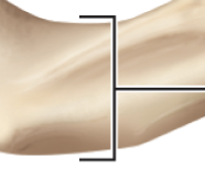 <p>Label</p>