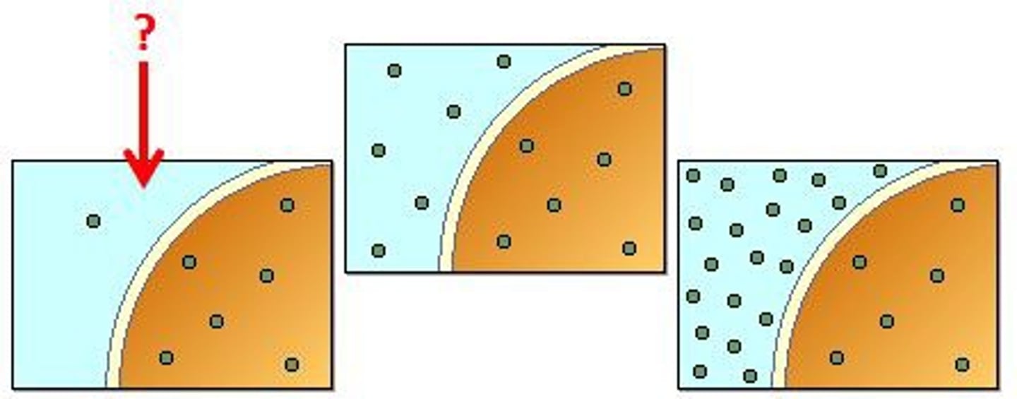 <p>External concentration of solutes is lower than internal concentration</p>