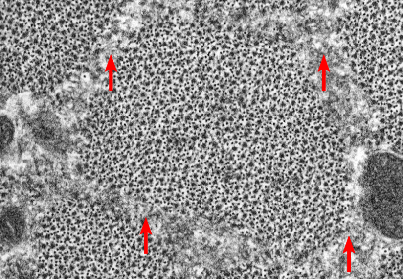 <p>What is this highlighting</p>