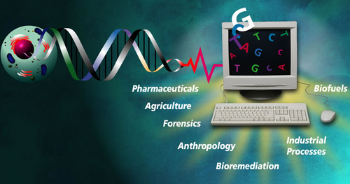 <p>the complete instructions for making an organism, consisting of all the genetic material in that organism&apos;s chromosomes</p>