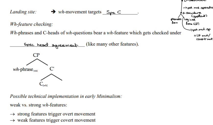 <p>Underlying assumptions:</p><p>The semantic interpretation of questions does not differ crosslinguistically. </p><p>Semantically speaking, wh-operators must take scope over the clause —&gt; </p><p>syntactically speaking, wh-phrases must c-command the clause they take scope over</p><p>as a result wh- phrases must occur “in clause initial position SpecC at the latest</p><p>Crosslinguistic variation:</p><p>Languages can differ with respect to the point in the derivation when wh-movement takes </p><p>place —&gt; overt movement vs. covert (= LF) movement </p><p>(parametric variation)</p><p></p>