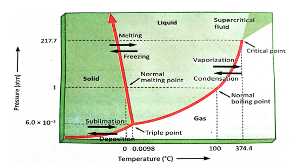 <p><span style="font-family: Calibri, sans-serif">Study the phase diagram of water. Which statement does <strong>BEST</strong> interpret it?</span></p><p><span>A. The regions in the diagram are labeled solid and liquid.</span></p><p class="MsoNormal" style="text-align: justify"><span>B. The three phases in equilibrium along the two lines are also shown.</span></p><p class="MsoNormal" style="text-align: justify"><span>C. The three-way intersection of all three phases coexists in equilibrium at the triple point of water.</span></p><p class="MsoNormal" style="text-align: justify"><span>D. The triple-point temperature of the water is 0.0096<sup>ᵒ</sup>C, and the triple-point pressure is 0.007 atm.</span></p>